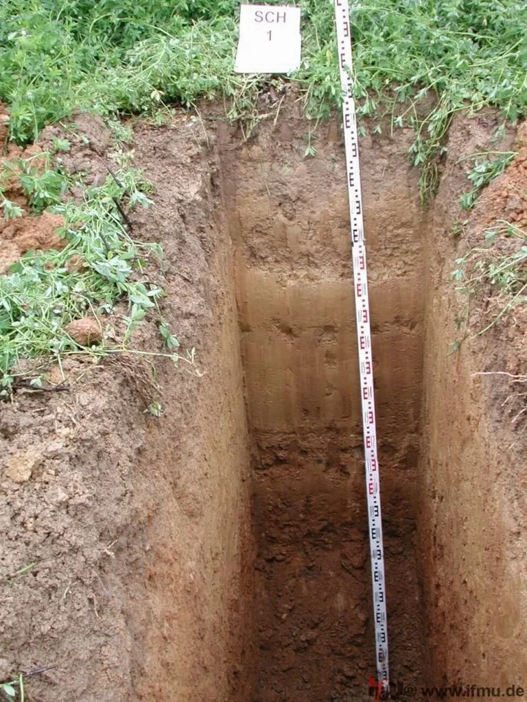 Exploratory Test Pits for Construction in Napier